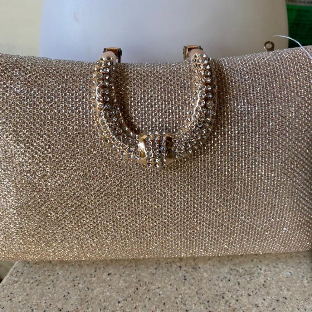Alessia Gold purse (New)